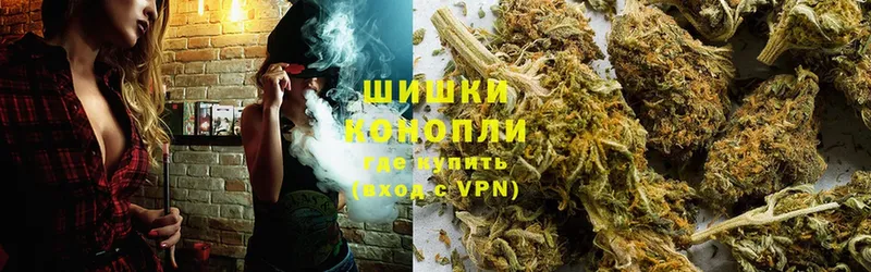 купить наркотики цена  Николаевск-на-Амуре  Канабис SATIVA & INDICA 